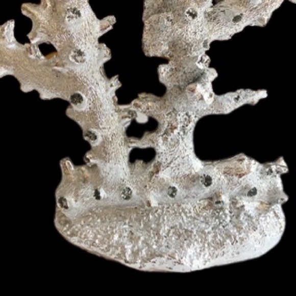Accents New Metallic Silver Coral Sculpture Poshmark